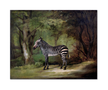 Zebra (1763) by George Stubbs