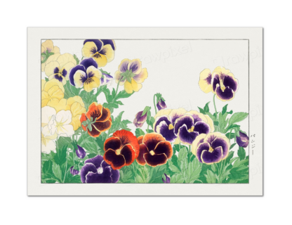 Pansy Flower, Tanigami Kônan