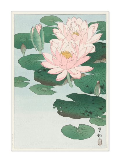 Water Lily, Ohara Koson