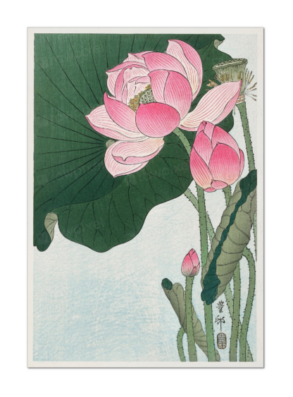 Blooming Lotus Flowers, Ohara Koson