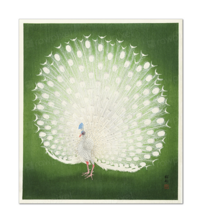 Peacock, Ohara Koson