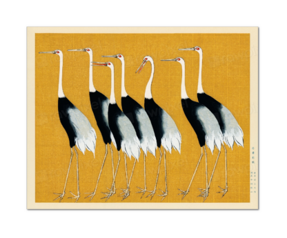 Red-crowned Crane, Ogata Korin